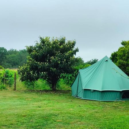 Quinta Da Teimosa Βίλα Monção Εξωτερικό φωτογραφία
