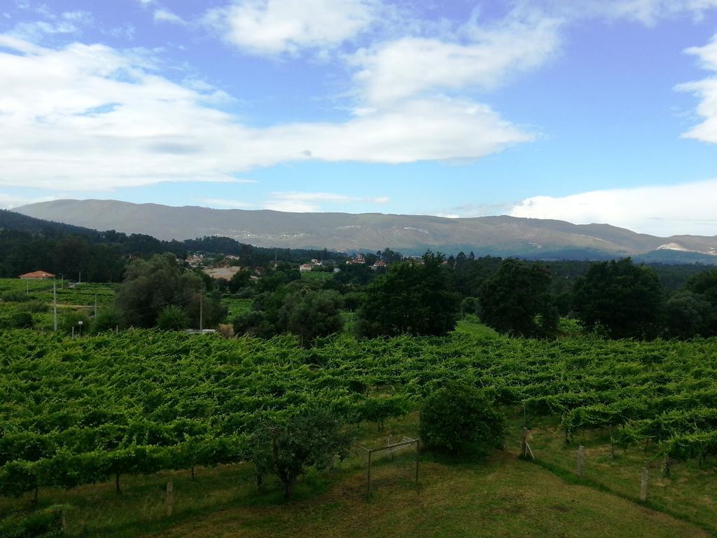 Quinta Da Teimosa Βίλα Monção Εξωτερικό φωτογραφία